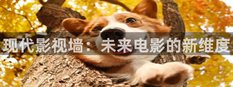 斑马 220xi4：现代影视墙：未来电影的新维度