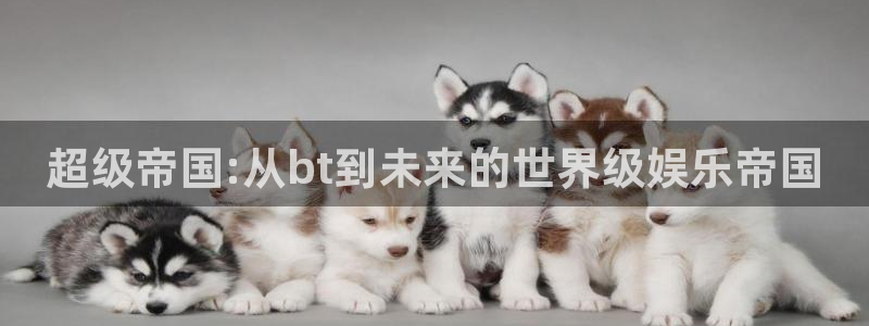 斑马gk88t：超级帝国:从bt到未来的世界级娱乐帝国