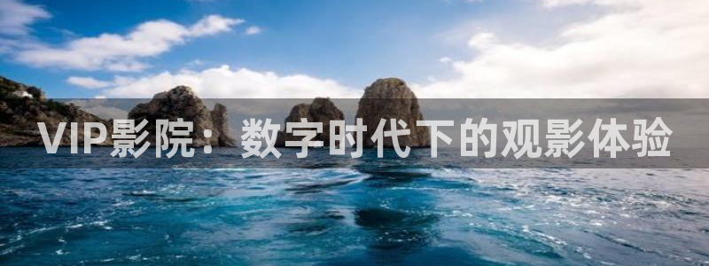 斑马教育：VIP影院：数字时代下的观影体验