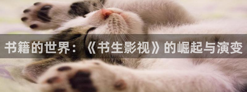斑马技术有限公司：书籍的世界：《书生影视》的崛起与演变