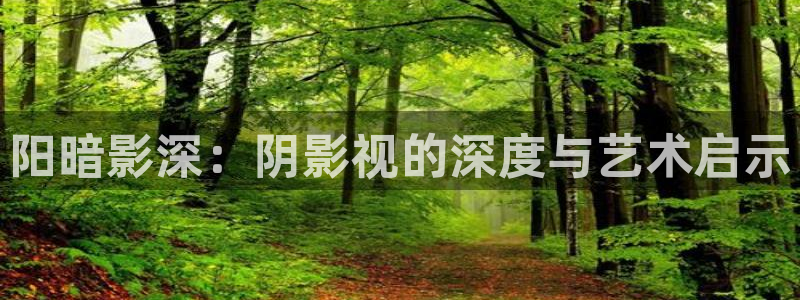 斑马公司怎么样：阳暗影深：阴影视的深度与艺术启示