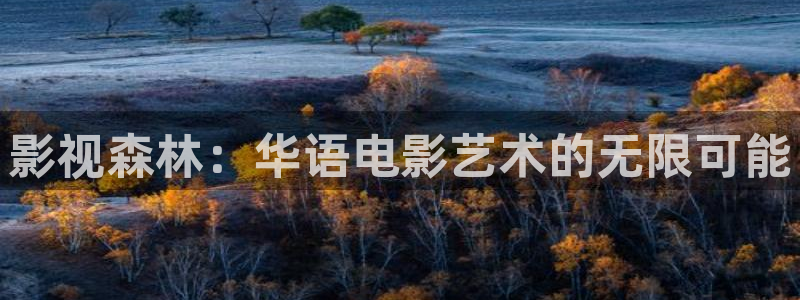苏州斑马：影视森林：华语电影艺术的无限可能