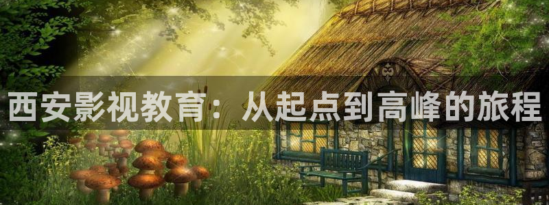 斑马 170xi4：西安影视教育：从起点到高峰的旅程