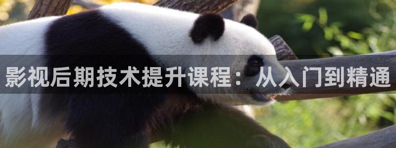 斑马tc25cj：影视后期技术提升课程：从入门到精通