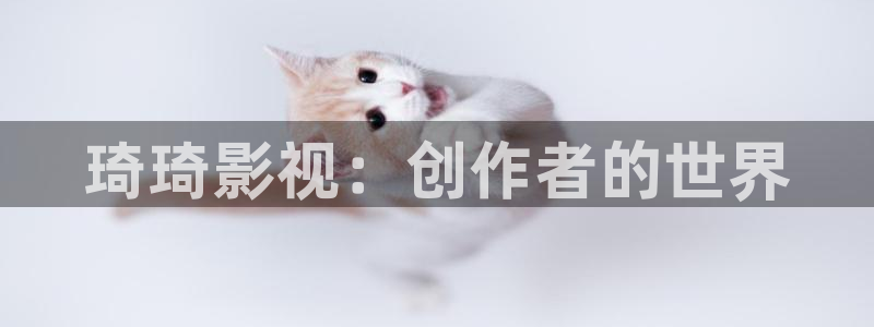 新斑马电影街：琦琦影视：创作者的世界