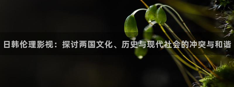 斑马免费电影：日韩伦理影视：探讨两国文化、历史与现代社会的冲突与和谐