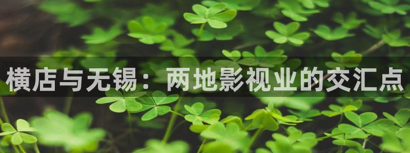 斑马斑马电影：横店与无锡：两地影视业的交汇点