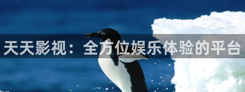 斑马完整版在线：天天影视：全方位娱乐体验的平台