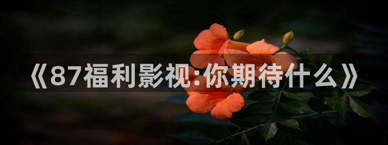 美国斑马：《87福利影视:你期待什么》