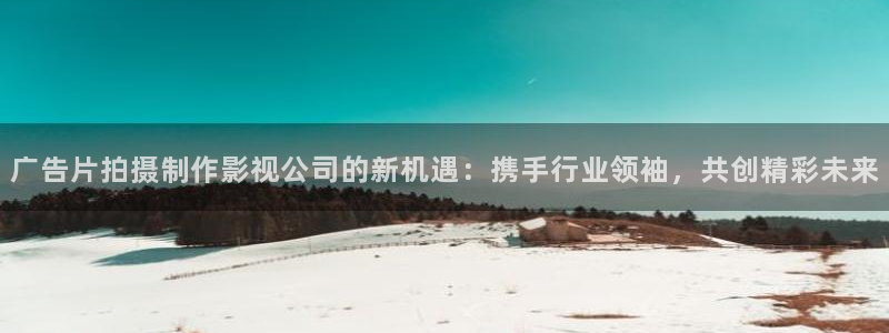 斑马系统2020：广告片拍摄制作影视公司的新机遇：携手行业领袖，共创精彩未来