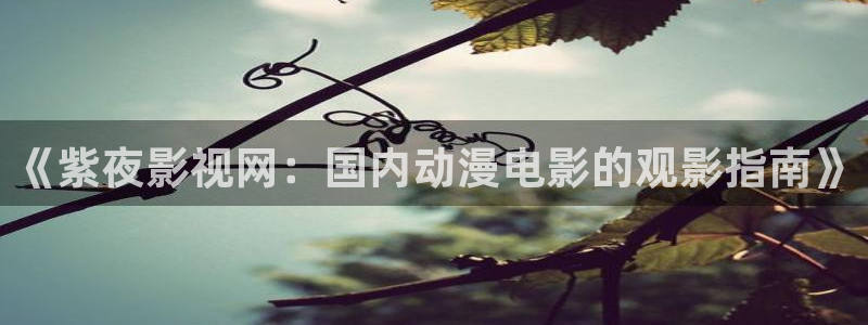 斑马总代：《紫夜影视网：国内动漫电影的观影指南》