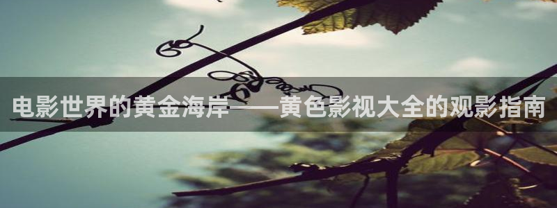 斑马斑马日本电影完整版：电影世界的黄金海岸——黄色影视大全的观影指南