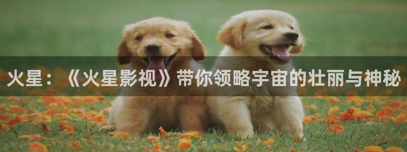 斑马电影免费看：火星：《火星影视》带你领略宇宙的壮丽与神秘