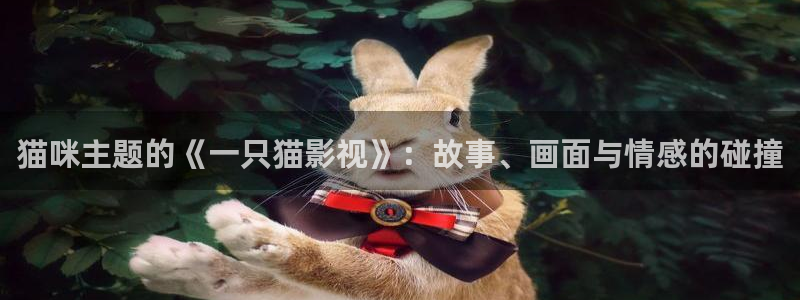 斑马的歌：猫咪主题的《一只猫影视》：故事、画面与情感的碰撞